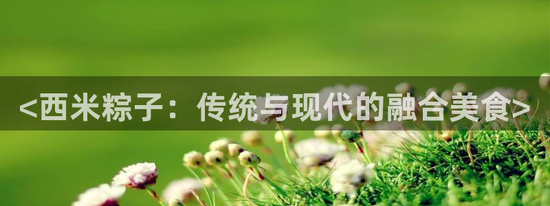 <西米粽子：传统与现代的融合美食>
